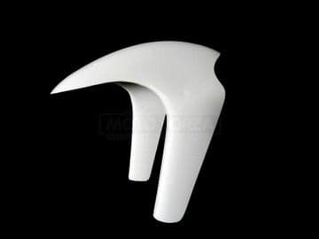 Aprilia, RSW 250 GP, 2006- / Front fender
