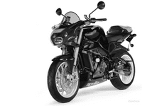 Aprilia, Tuono 1000R 2003-05