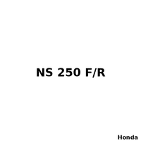 HONDA NS 250F/R