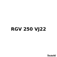Suzuki RGV 250 VJ22