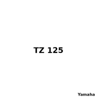 TZ 125