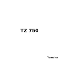 TZ 750