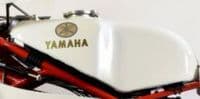 YAMAHA TZ250F/G PETROL TANK