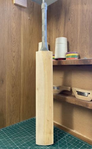 50% Off RRP! Grade 3 - Mid-Middle 2lb 10½oz Bat#1936 - Save £137.50!