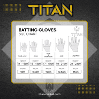 Titan Grade 1+ SH Bat, Players Grade Pads, Gloves & Large Wheelie Duffle Bag