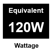 Bayonet Light Bulb (B22)  - 120W