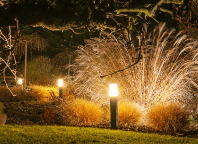 Outdoor & Garden