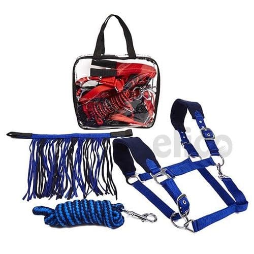 Elico Dalston Headcollar Set in Pony Size