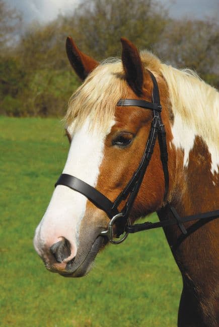 Heritage Plain Hunter Bridle - Shetland or Pony