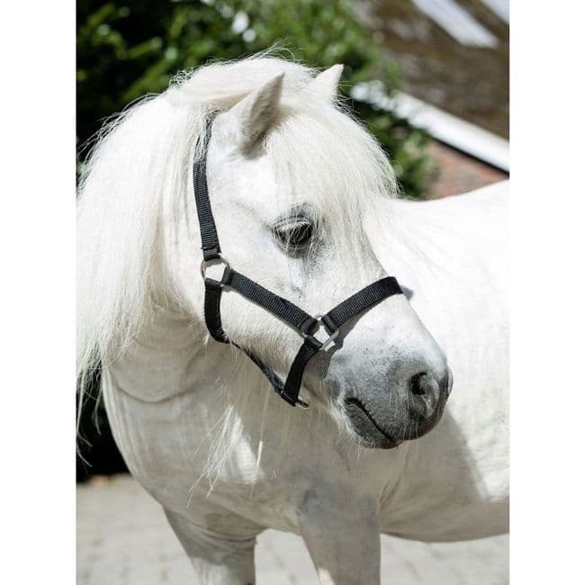 HKM Mini Shetland Headcollar - 4 Colours!