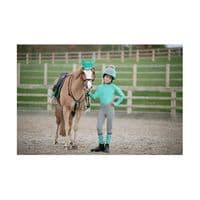 Hy Equestrian DynaMizs Ecliptic Fly Veil in Mint/Grey
