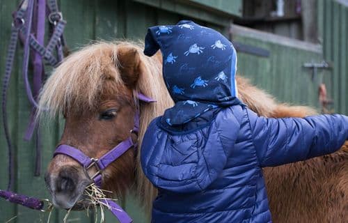 Lucas & Lilli Clip Clop Balaclava In Blue