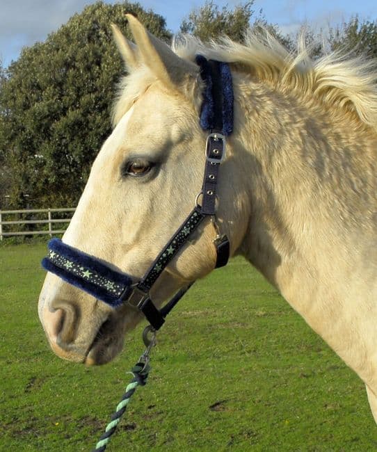 Rhinegold Crystal Star Headcollar & Leadrope Set in Navy/Green