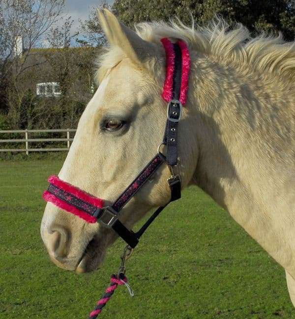 Rhinegold Crystal Star Headcollar & Leadrope Set inNavy/Pink