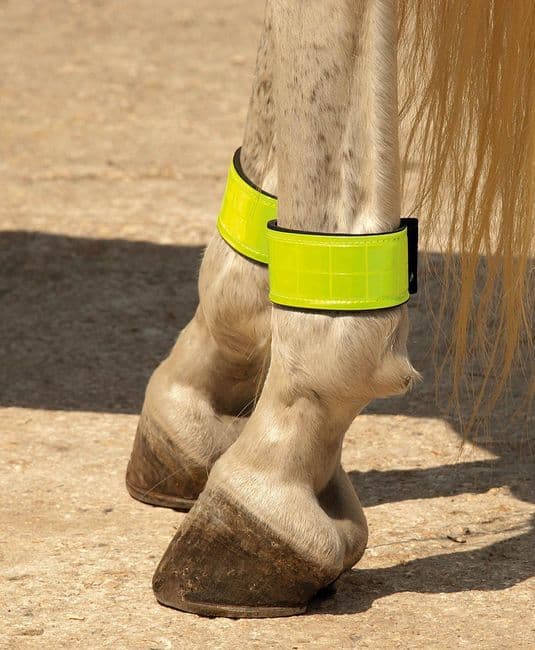 Rhinegold Reflective Leg Bands