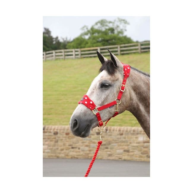 Supreme Products Dotty Fleece Head Collar & Lead Rope Set in Rosette Red