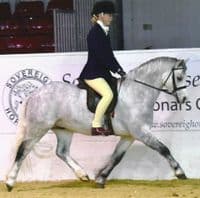 Tuffa Junior Show Jodhpur Boots in Oxblood