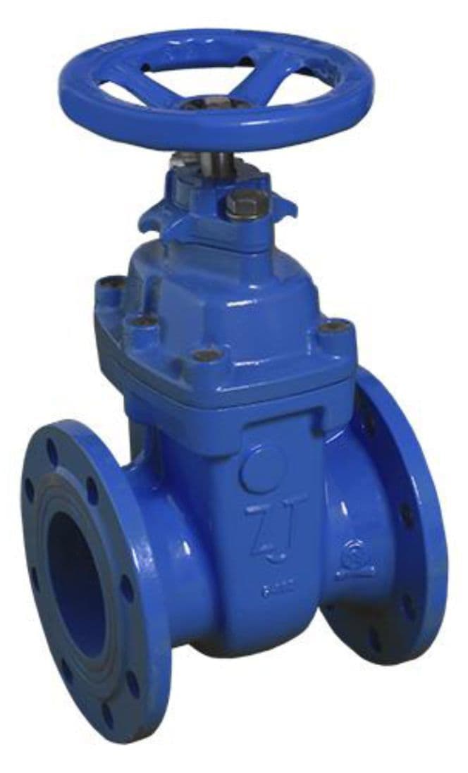 Gate Valve DN80 (PN16, Cast iron)