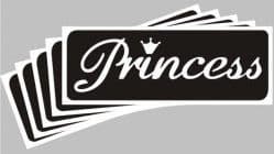 5 x princess stencils