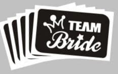 5 x team bride (hen party) stencils