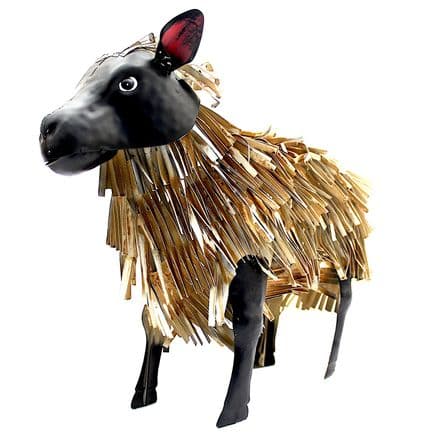 Black Sheep Decor