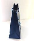 Boy Blue Gift Bag