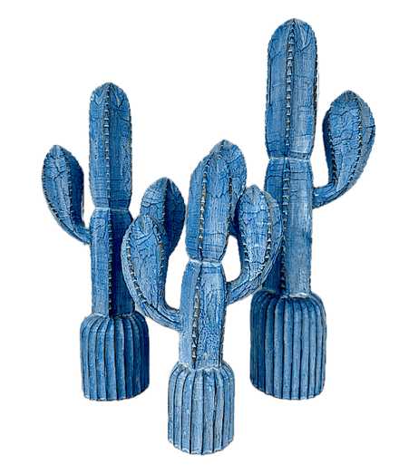 Cactus in Blue