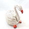 Coco Swan