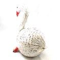 Coco Swan