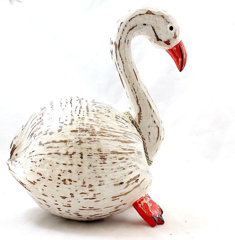 Coco Swan
