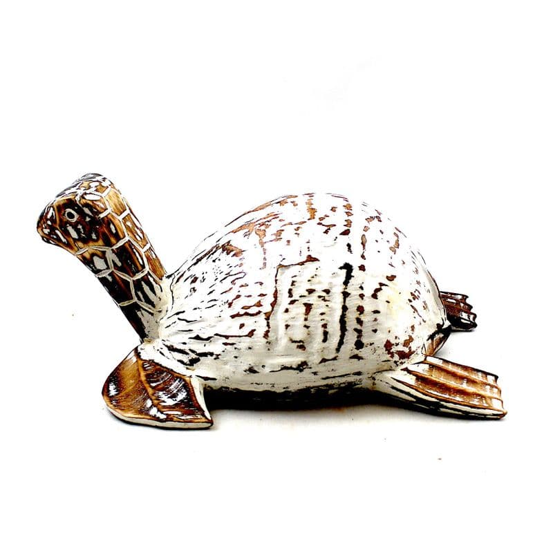 Coconut Turtle