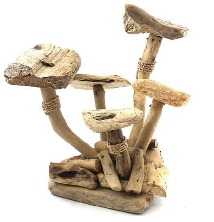 Driftwood Mushroom