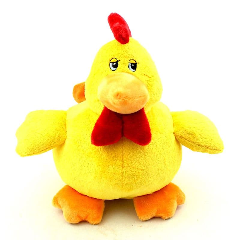 Egg Laying Hen