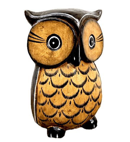 Footed Brown Owl
