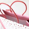 cute Gift Bag of Hearts