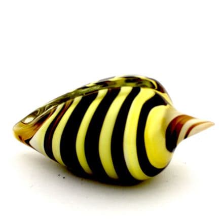 Glass Sea Shell