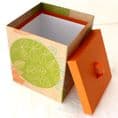 Napkin Boxes|Napkin Containers|Napkin Storage|Home Storage|Storage Boxes|Gifts for the Home