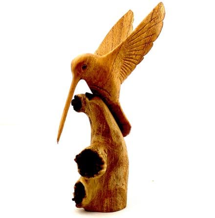 Parasite Wood Hummingbird