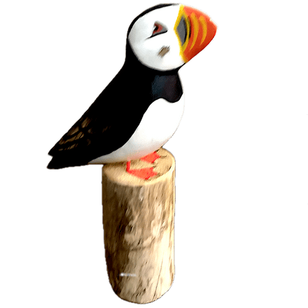 Puffin on Log
