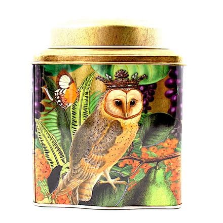Queen Owl Tea Caddy