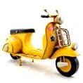 Sassy Flower Scooter