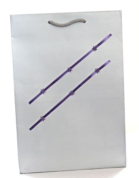 cute Silver Star Gift Bag