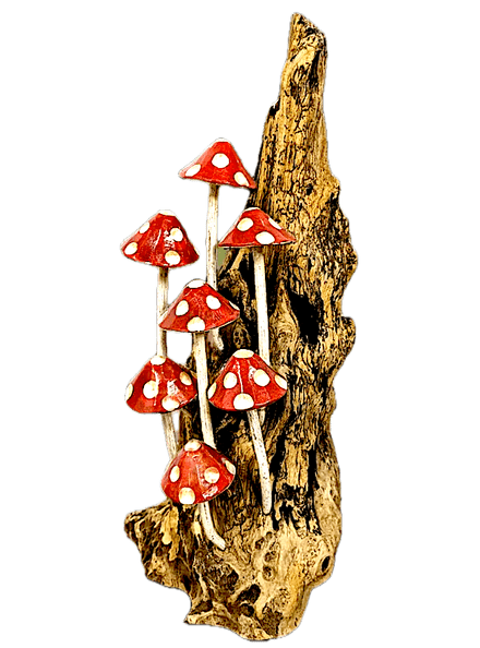 Toadstools on Driftwood