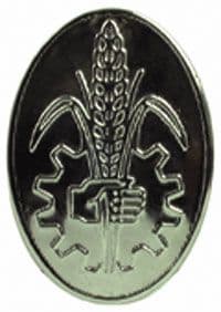 Fordson Major Front Cowling Badge