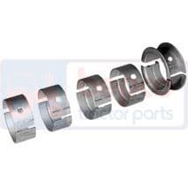 International 444, B250, B275, B414, BD276 Main Bearing set +10