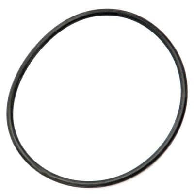 Massey Ferguson 135,148,165 PTO Retainer O Ring (late)