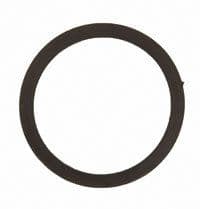 Rubber Fuel Pump/ Bowl Gasket  (Option 2)