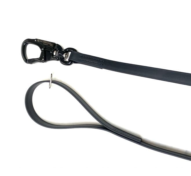 Big Dog - Biothane Lead