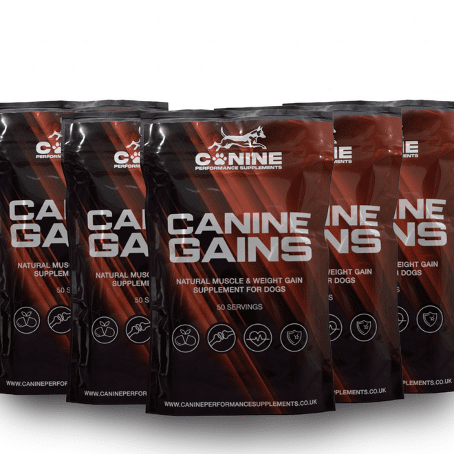 Canine Gains - 50 servings
