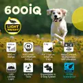 Dogtra 600 iQ - Dispatch time is 7 days